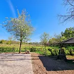 Alte Waldkate - Windschief Und Mitten In Der