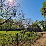 Alte Waldkate - Windschief Und Mitten In Der