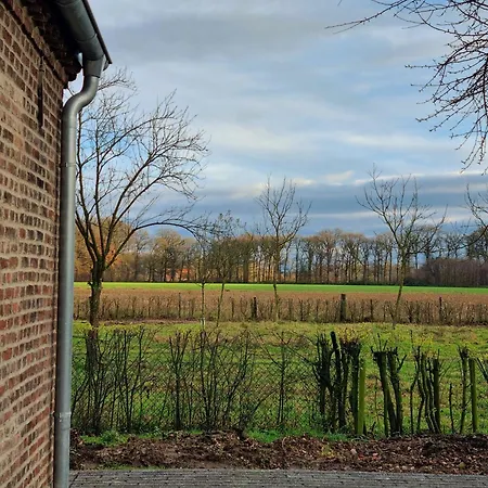 Alte Waldkate *