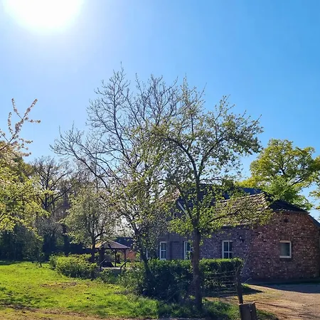 Alte Waldkate - Windschief Und Mitten In Der Feriehus *