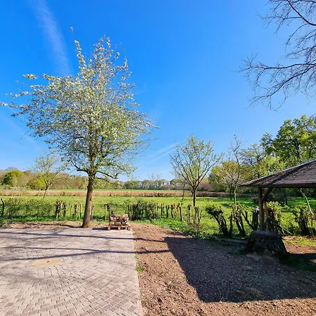 Alte Waldkate - Windschief Und Mitten In Der