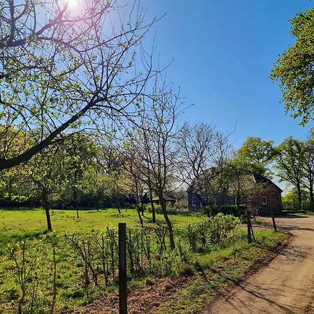 Alte Waldkate - Windschief Und Mitten In Der