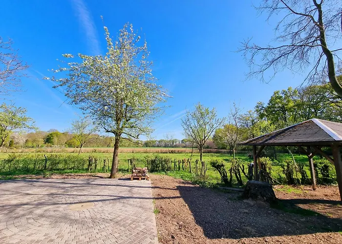 Alte Waldkate - Windschief Und Mitten In Der