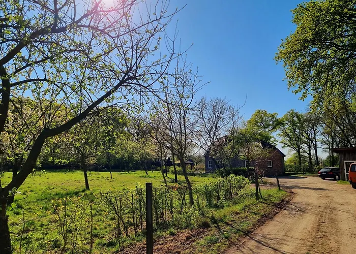 Alte Waldkate - Windschief Und Mitten In Der